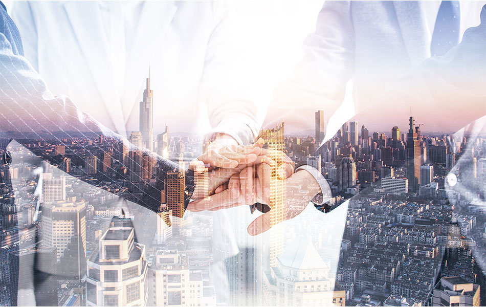 تحليل السوق العالمي لشفة الفولاذ المقاوم للصدأ: ديناميكيات العرض والطلب والتوقعات المستقبلية