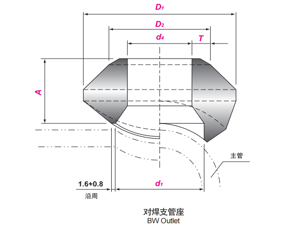 纸